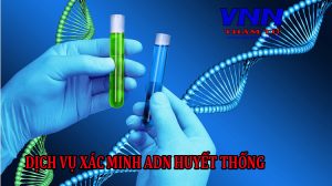 dich-vu-xac-minh-ADN-huyet-thong
